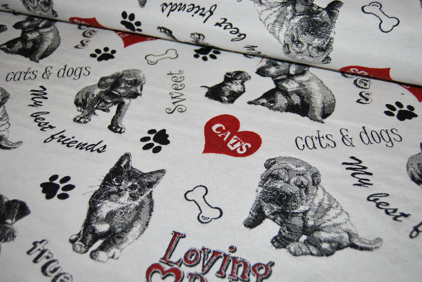 Cats and dogs jacquard