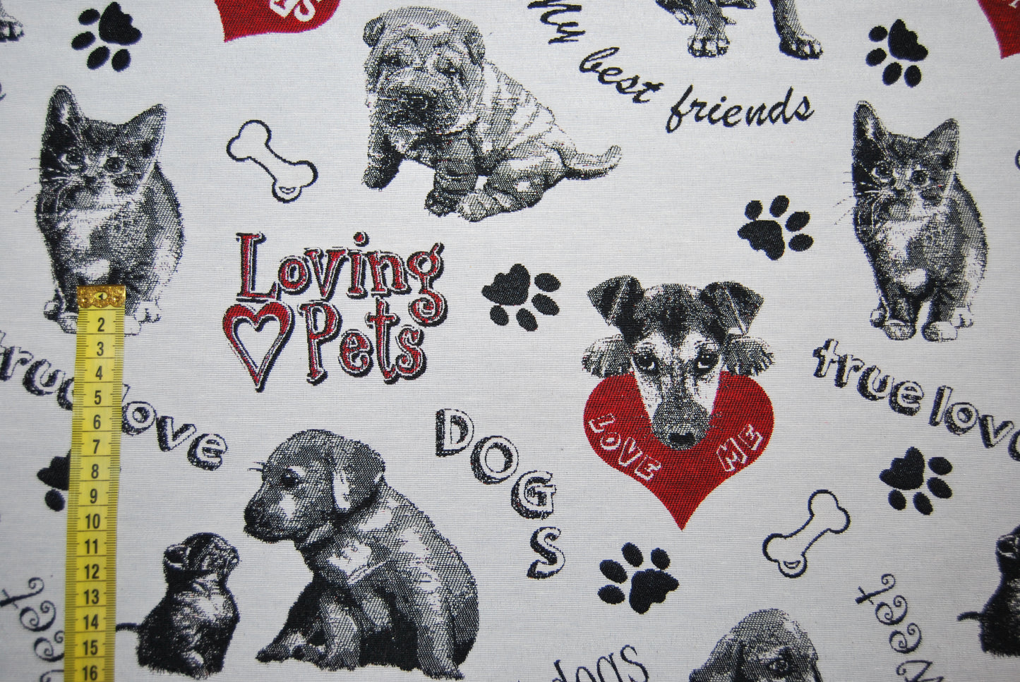 Cats and dogs jacquard