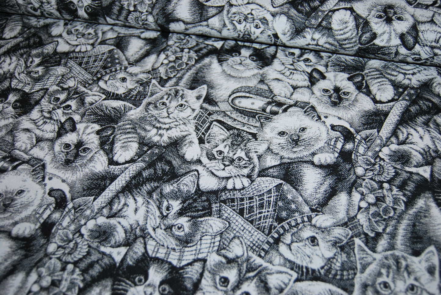 Katter jacquard