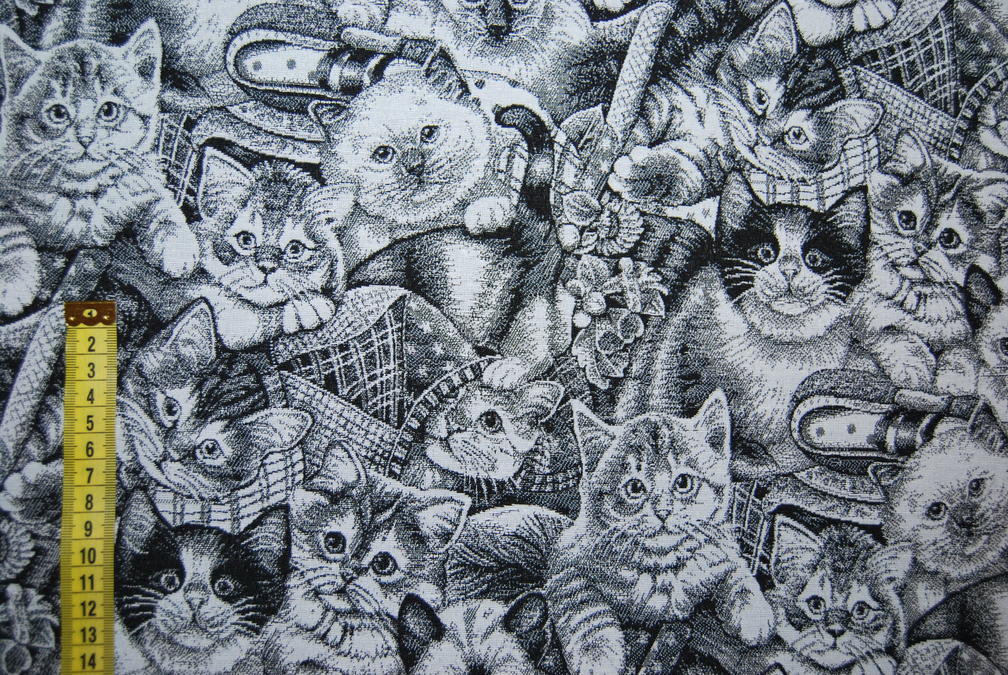Katter jacquard