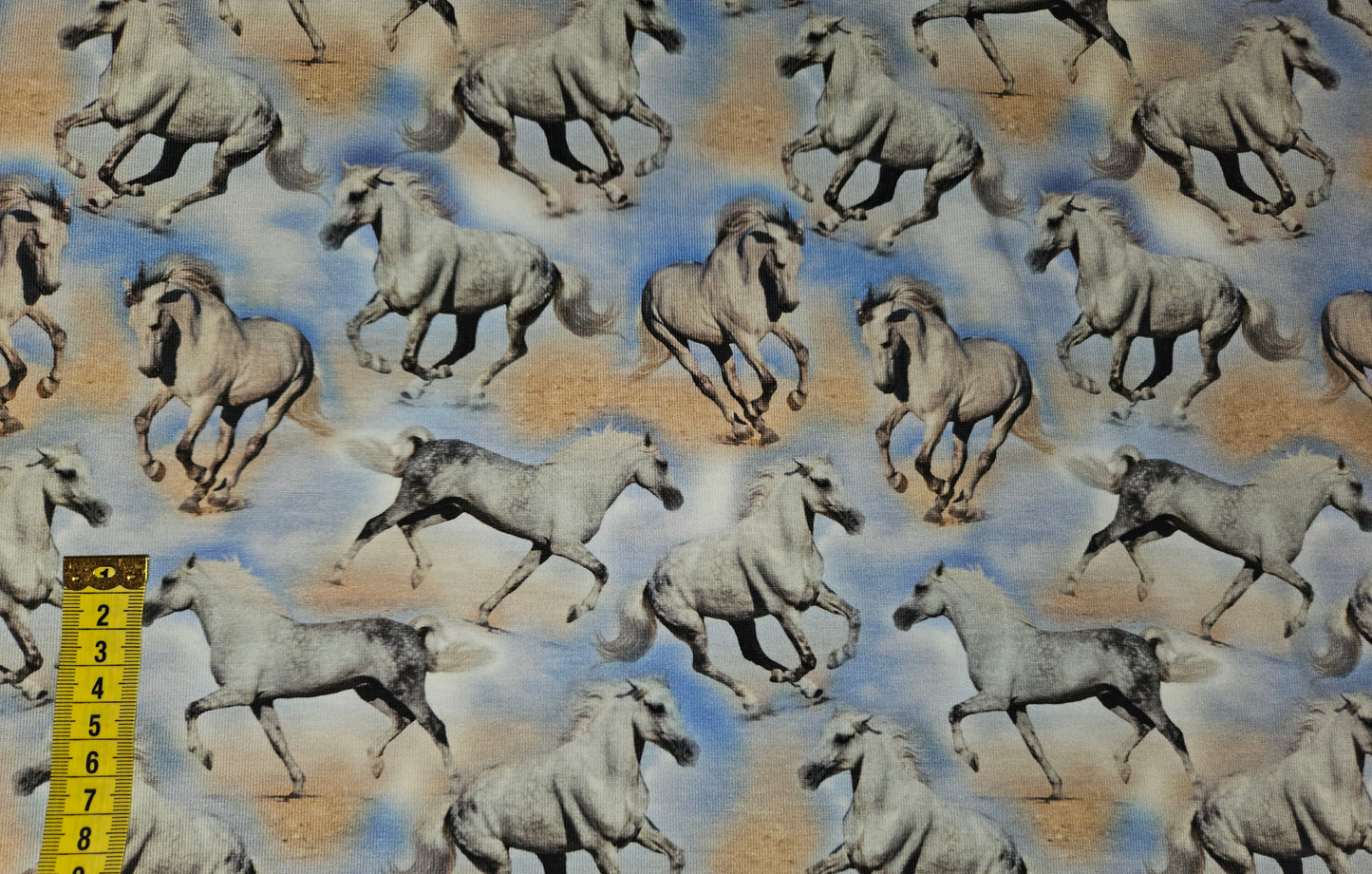 Wild horses digitalt tryck