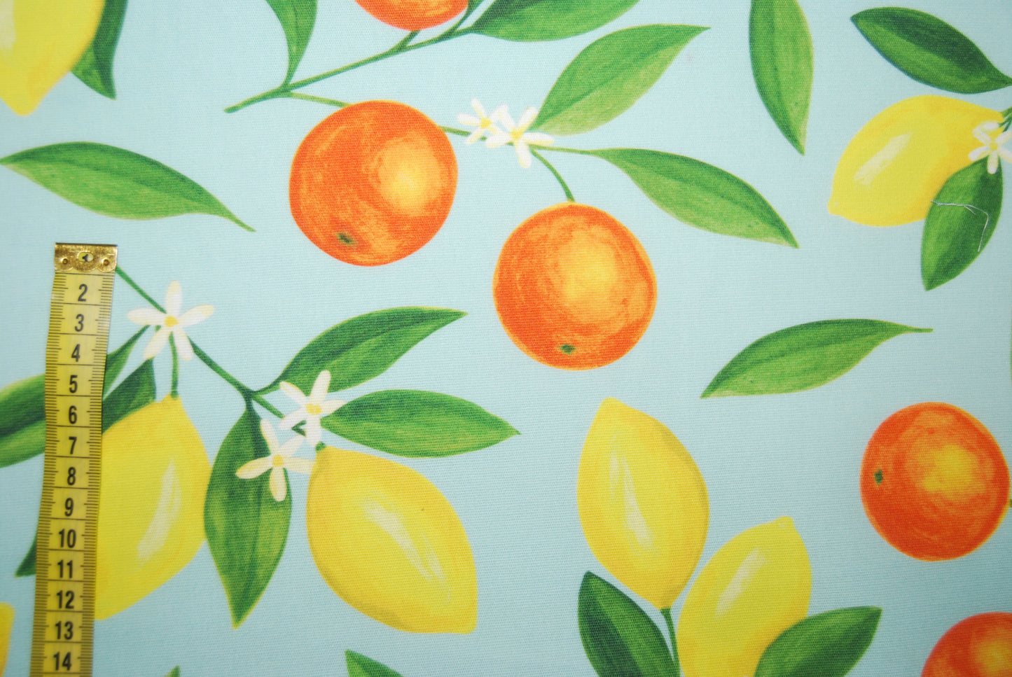 Citrusfrukt möbeltyg