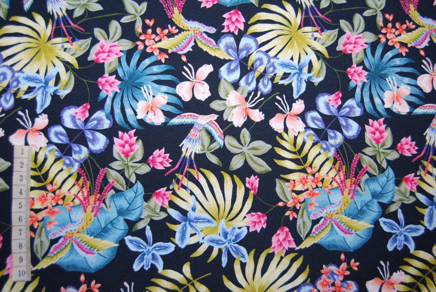 Tropical birds jogging