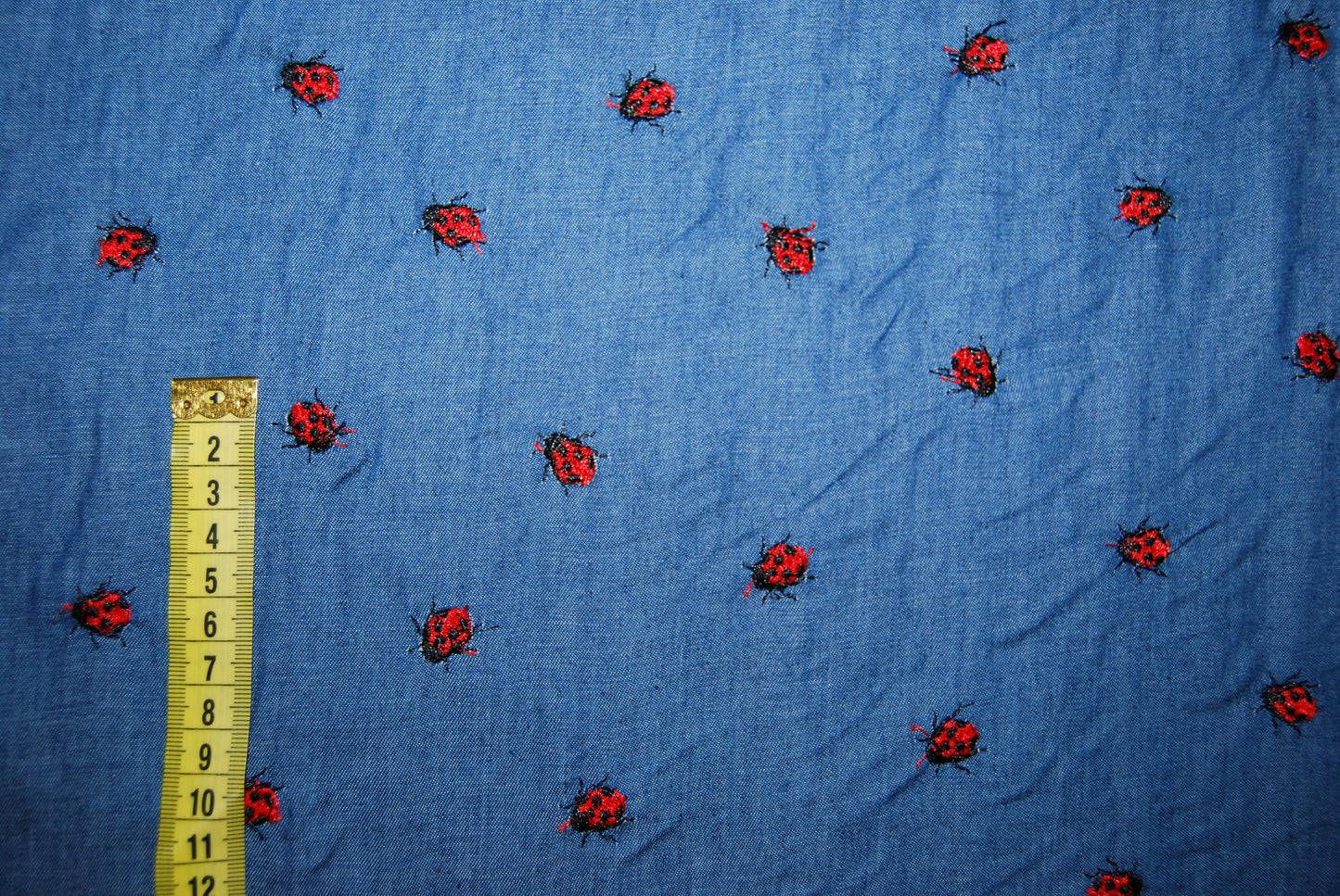 Jeans broderade nyckelpigor