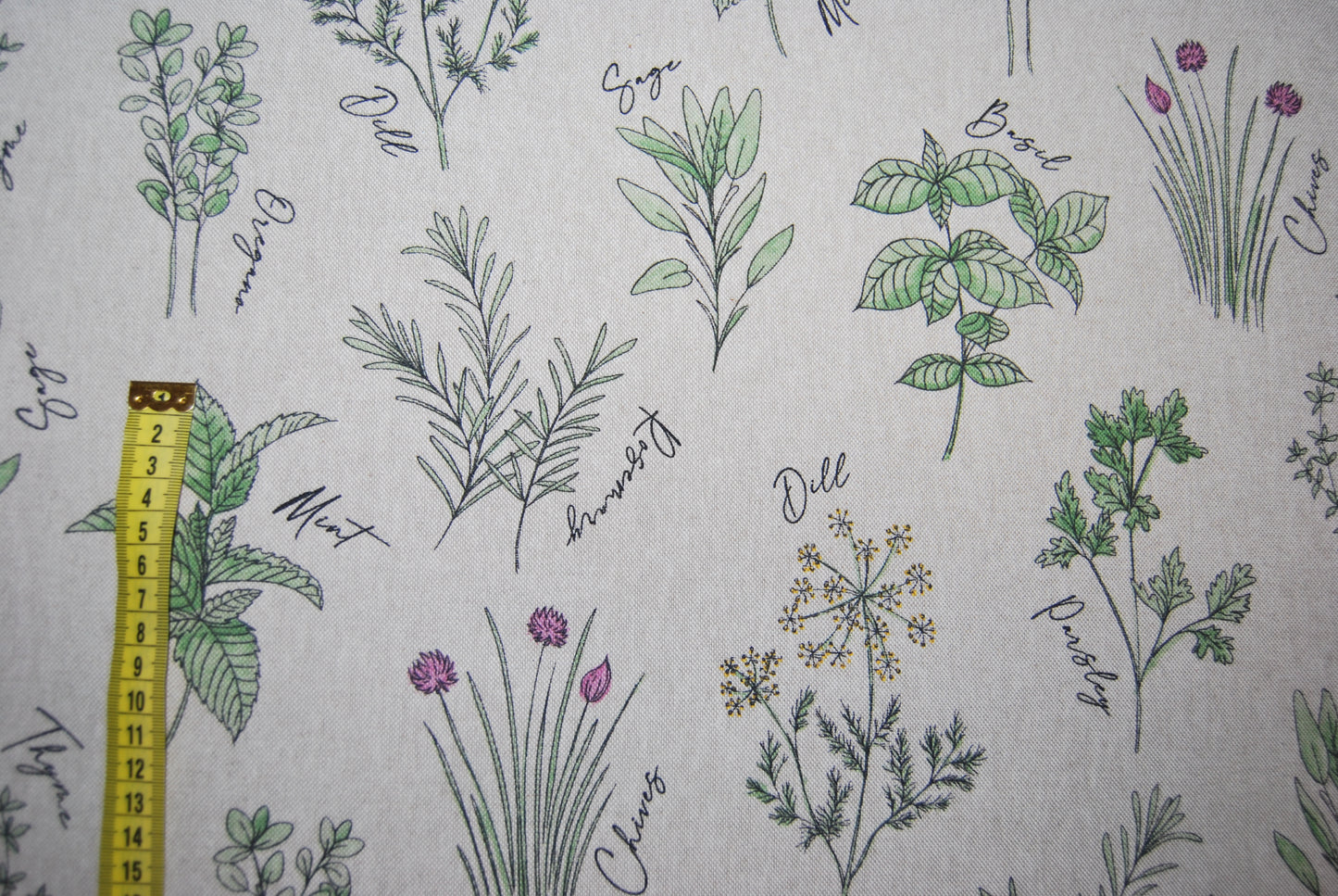 Örter linneliknande