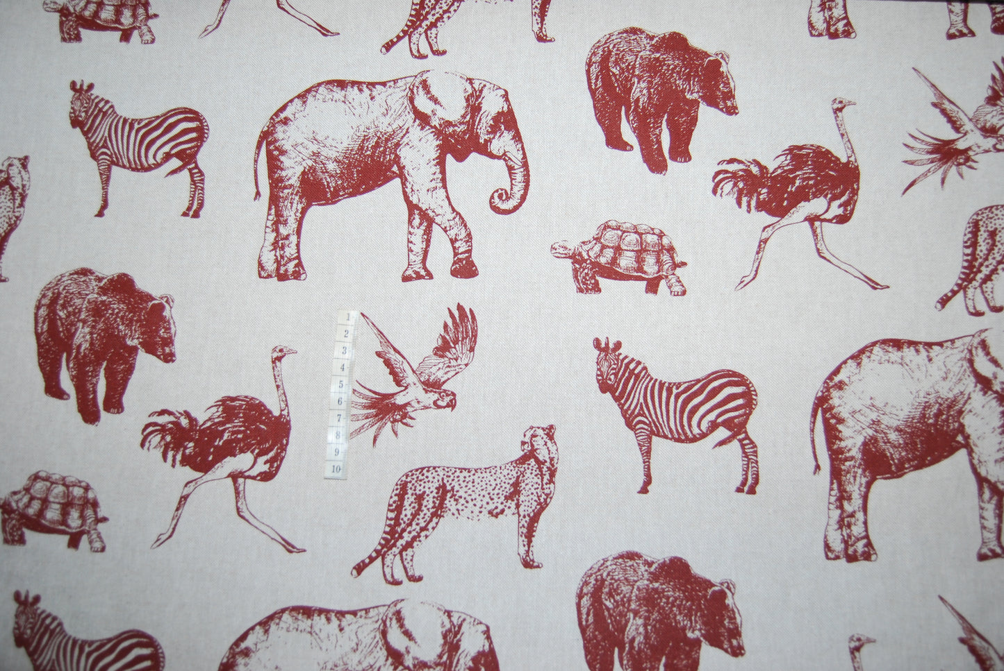 Animals linneliknande