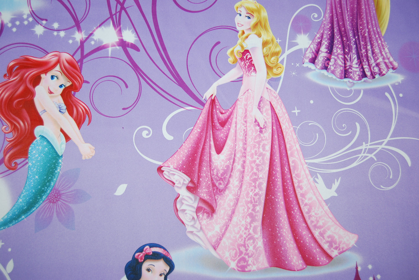 Disney Prinsessor mörkläggande