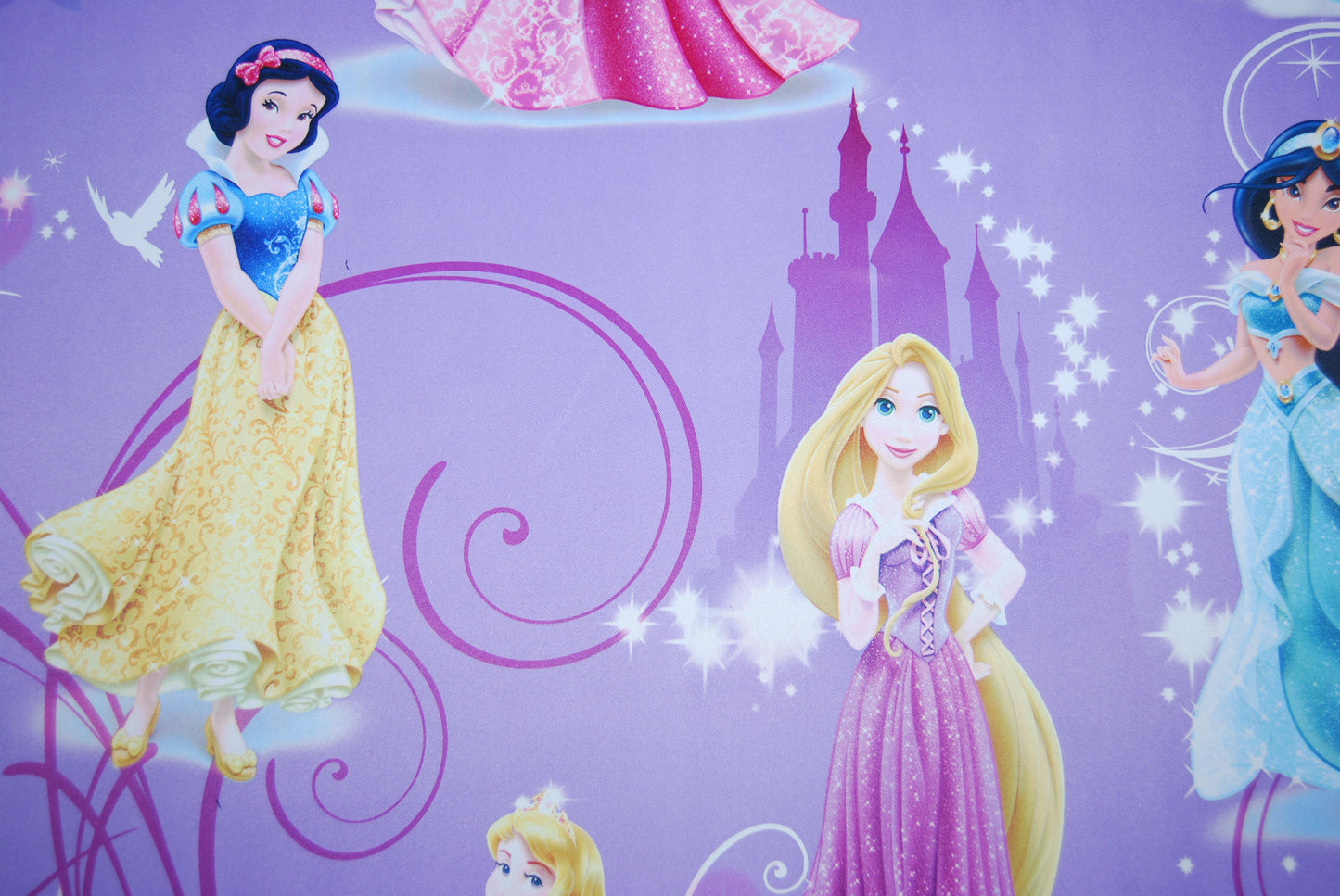 Disney Prinsessor mörkläggande