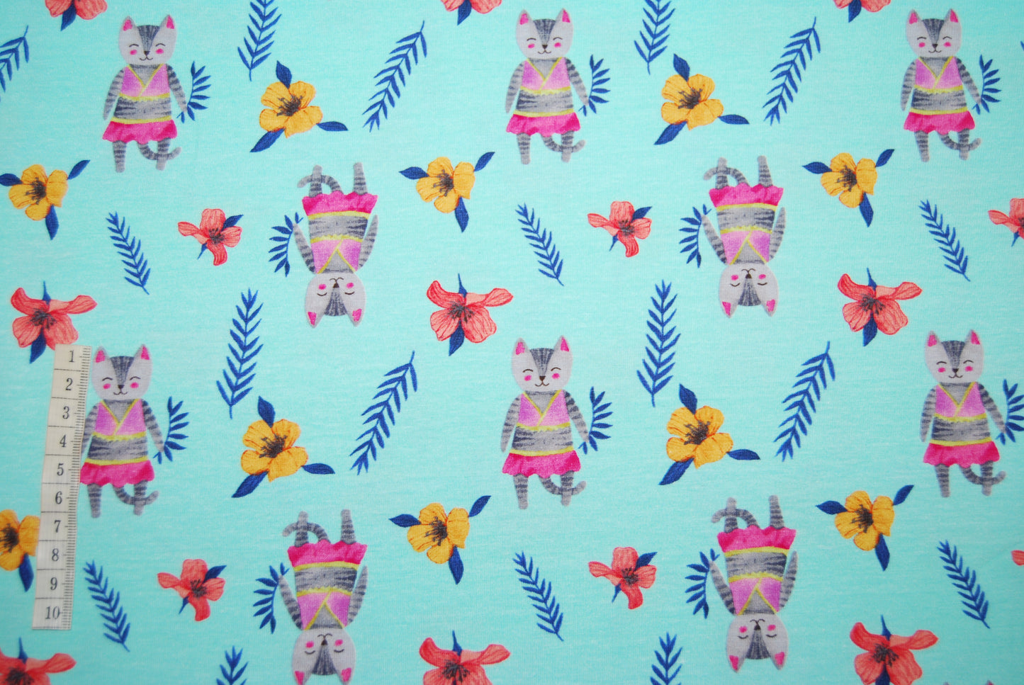 Exploring cats digitalt tryck (fler färger)