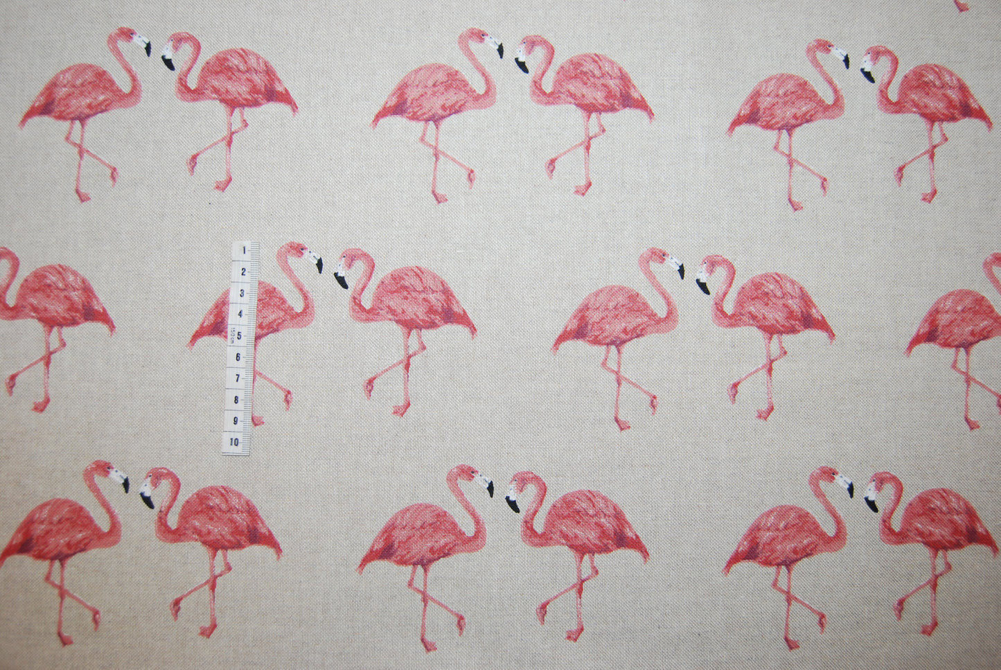 Flamingos linneliknande