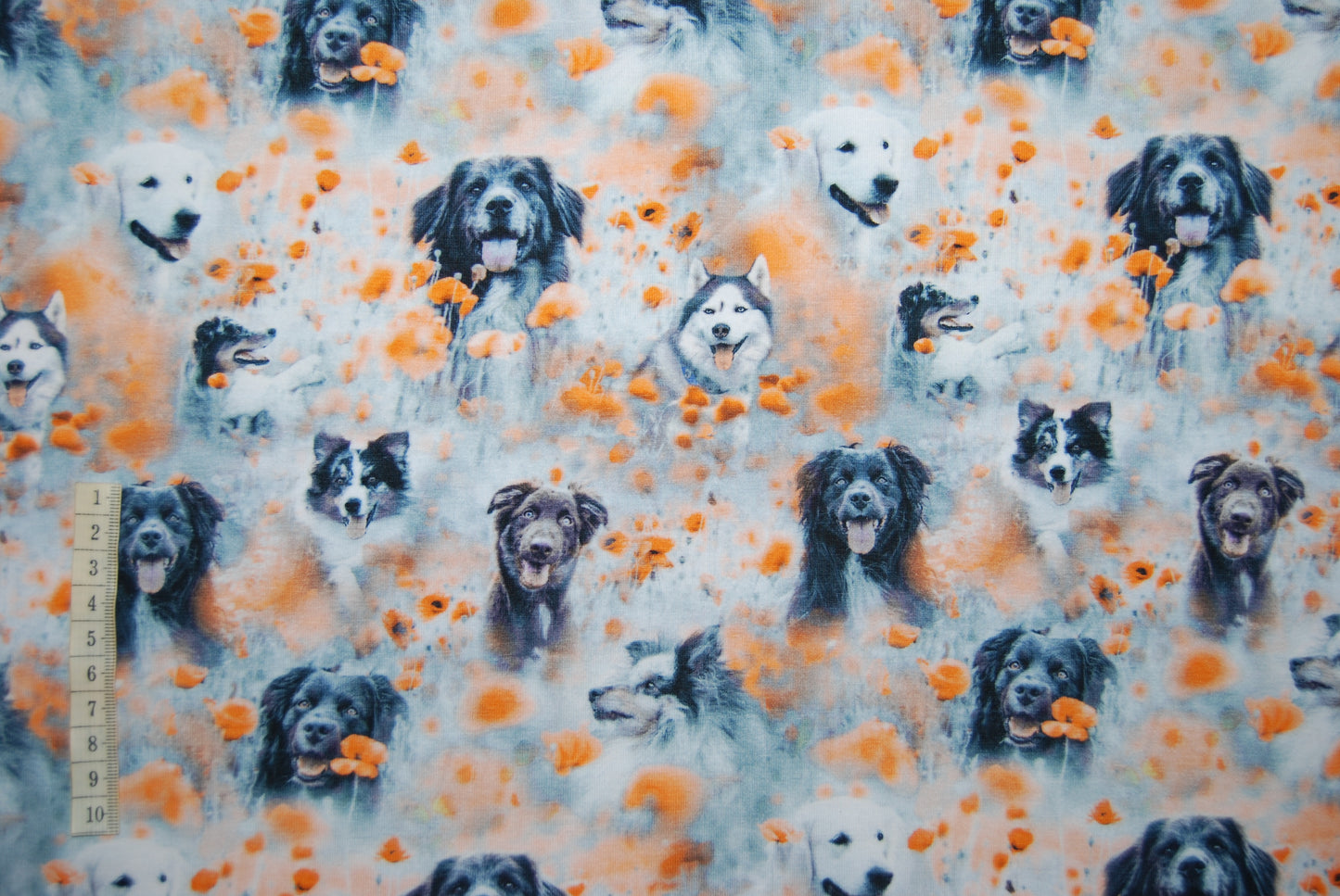 Hundar på ängen digitalt tryck