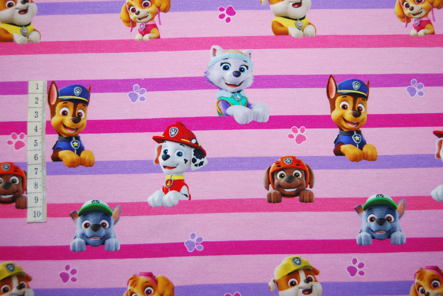 Paw Patrol digitalt tryck (fler varianter)