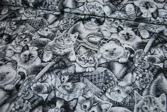 Katter jacquard