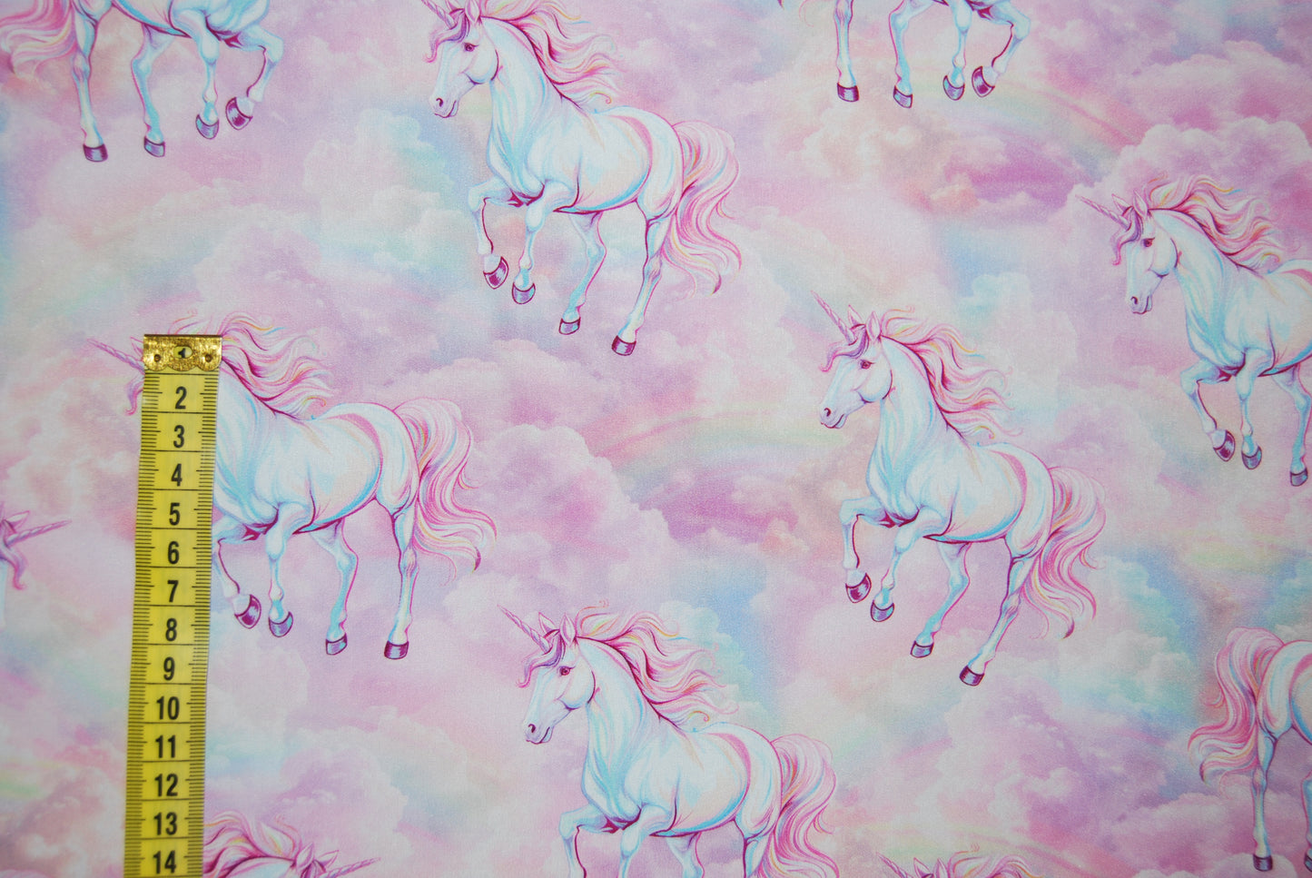 Softshell Unicorns