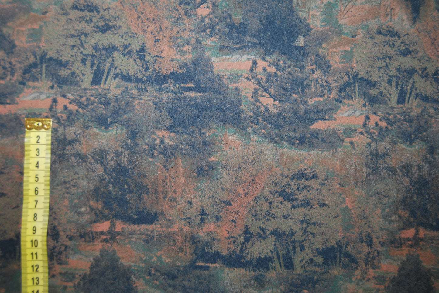 Softshell Forest