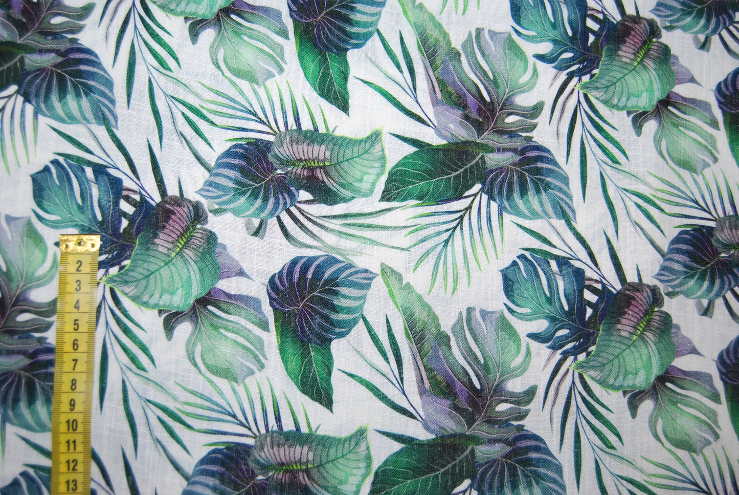 Linneviskos Palmblad