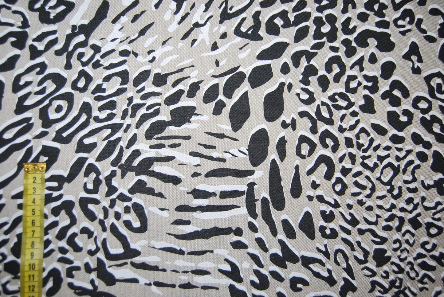 Snöleopard linneliknande