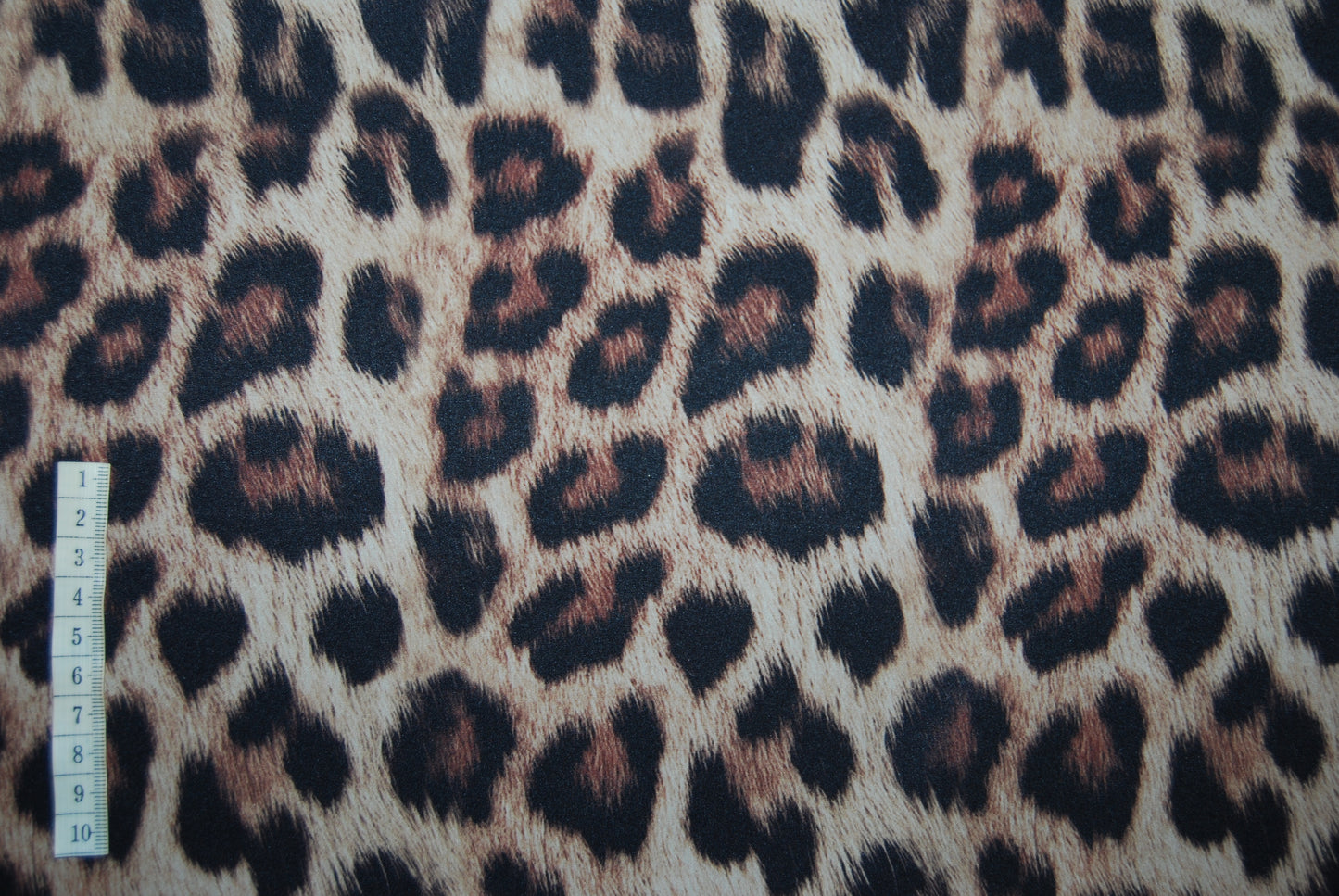 Softshell leopard