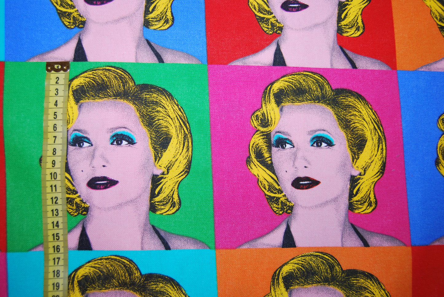 Marilyn canvas