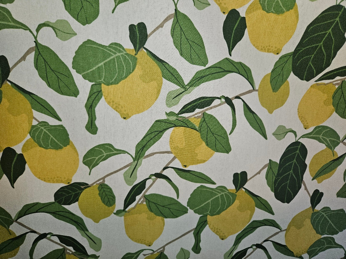 Citron CTC-duk