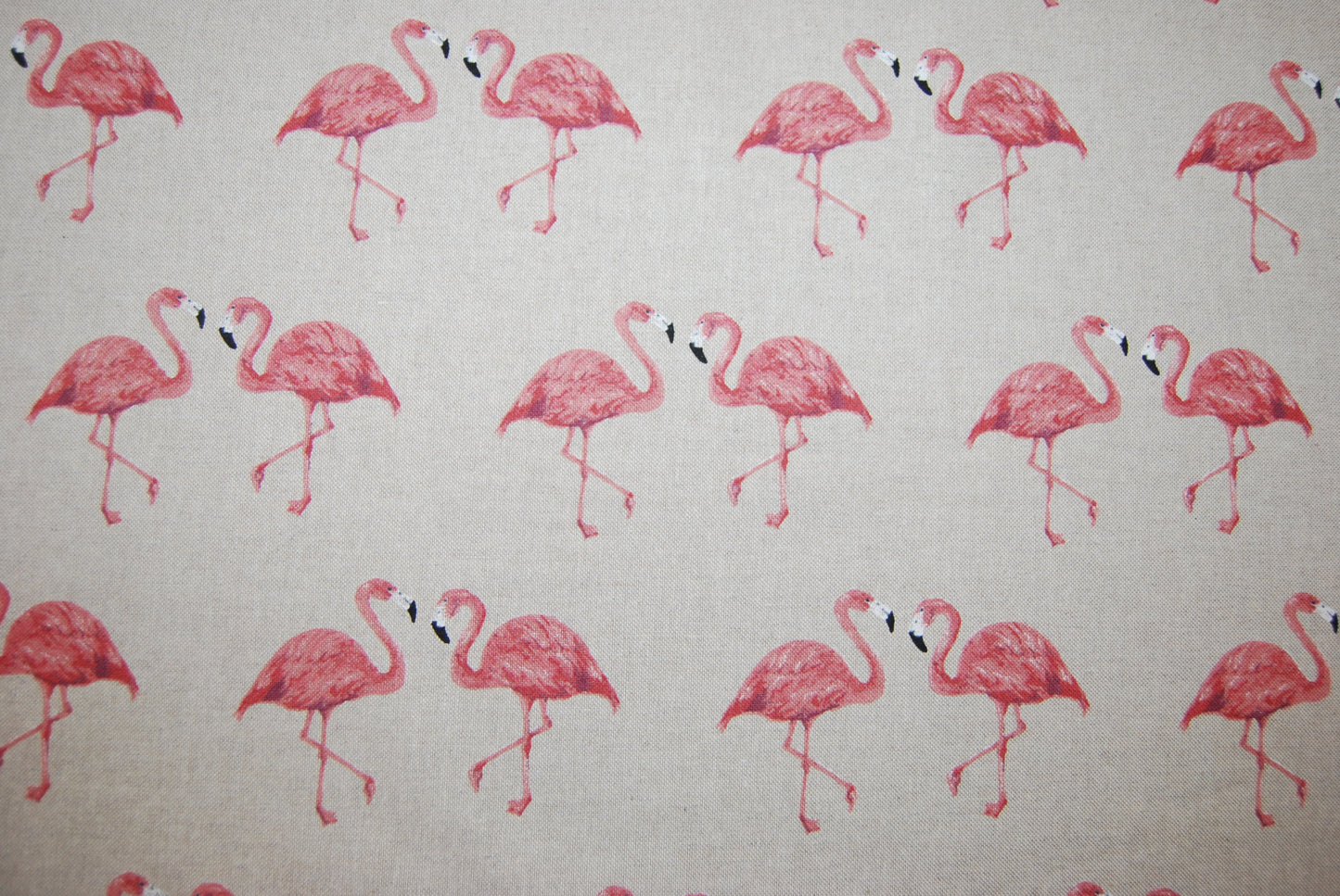 Flamingos linneliknande