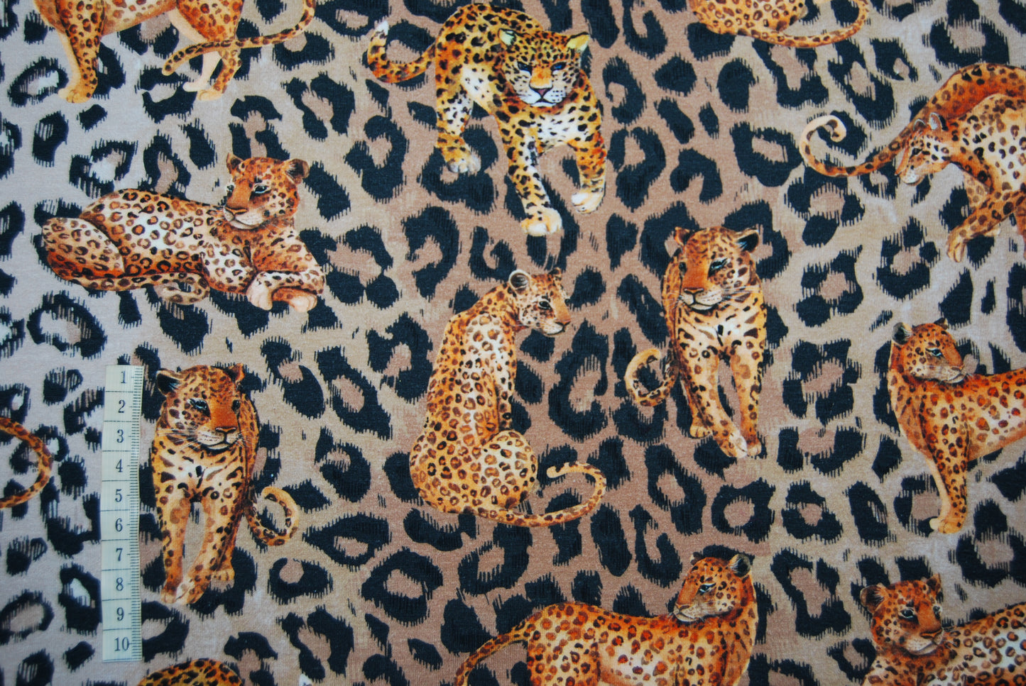 Leoparder digitalt tryck
