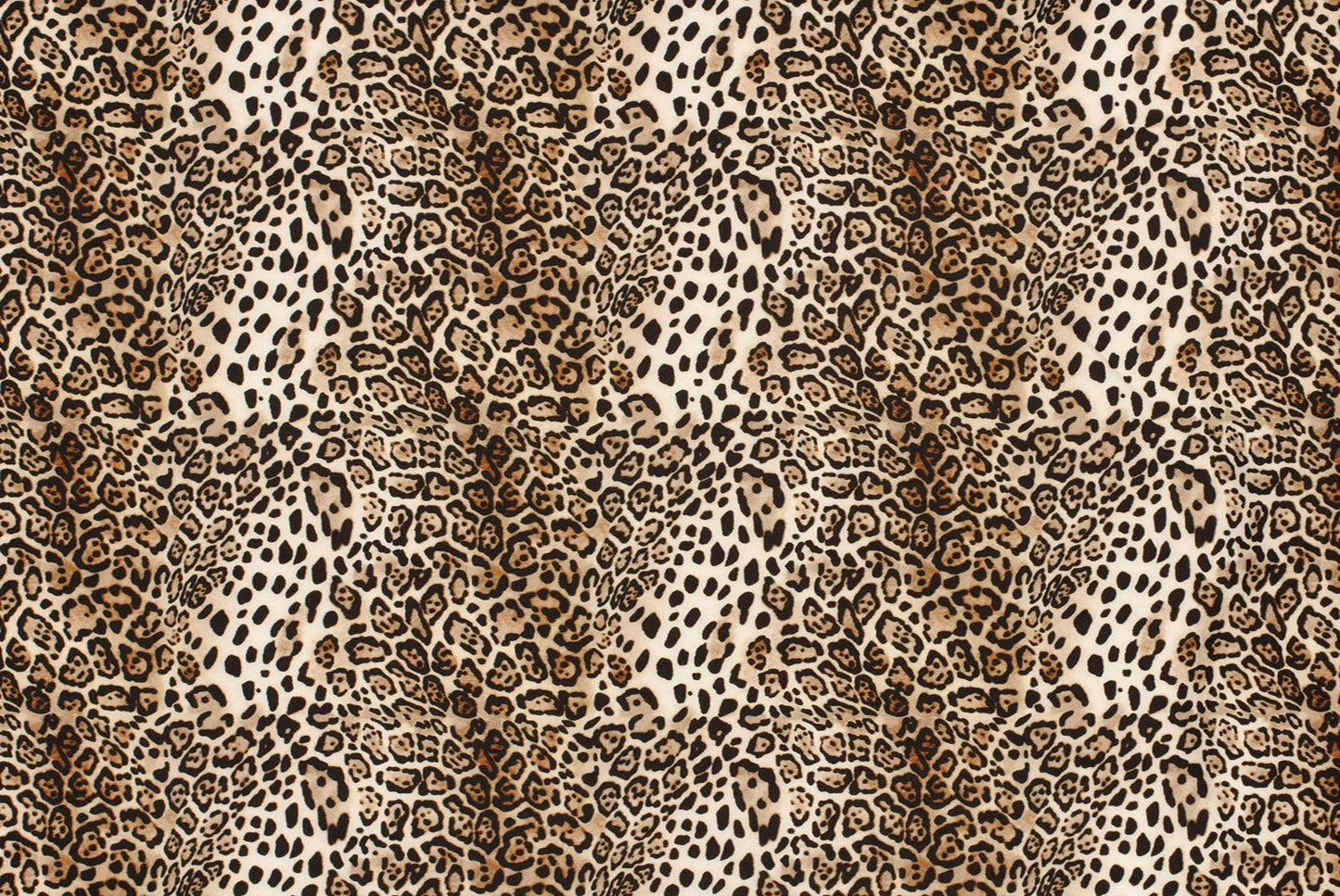 Softshell leopard