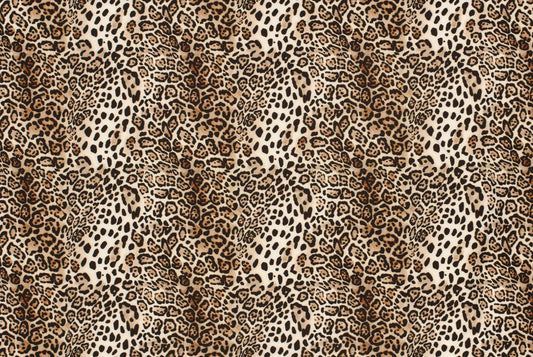 Softshell leopard